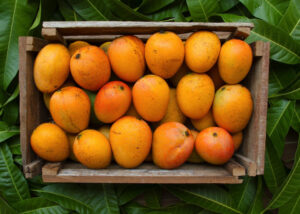 Alphonso Mangoes