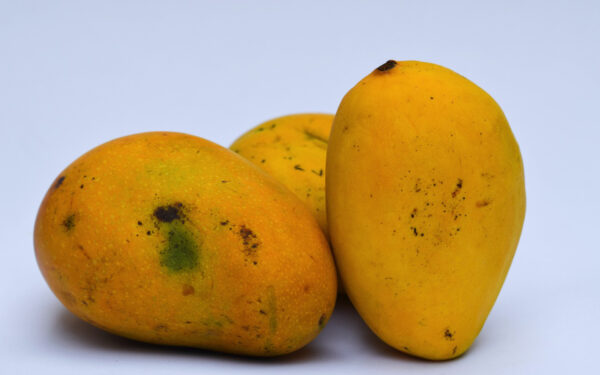 Badami Mangoes (4-5 pcs)