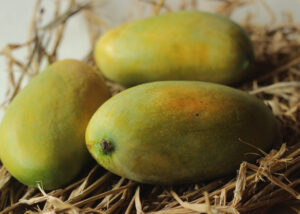 Kesar Mangoes (12pcs)