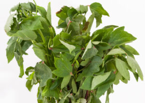 Ambadi / Gongura Leaves / Roselle Leaves (2 bunches)