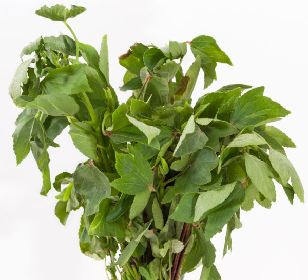 Ambadi / Gongura Leaves / Roselle Leaves (2 bunches)