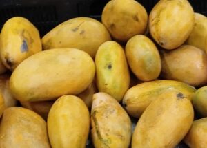 Mallika Mango (3kg)