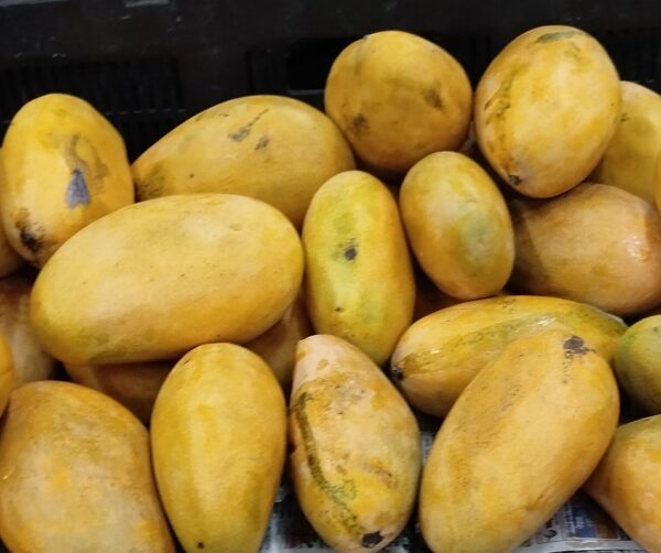 Mallika Mango (3kg)
