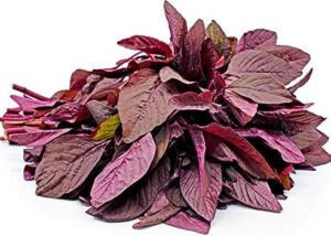 Lal Math / Red Amaranth (2 bunches)