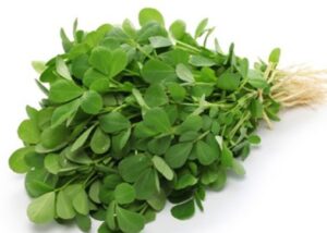 Methi / Fenugreek Leaves (2 bunches)